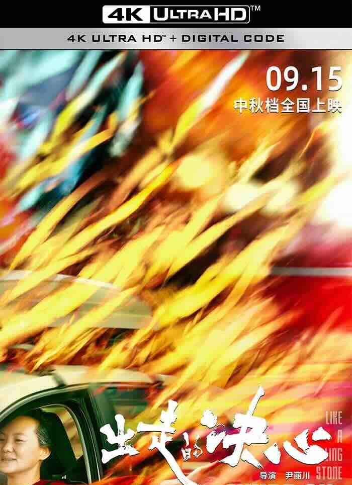 【4K华语】出走的决心 (2024) 婚姻往事/亲爱的妈妈/Like A Rolling Stone/中国大陆