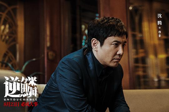 【4K华语】逆鳞 (2024) 光天化日/Untouchable/中国大陆/4K/2160P高码