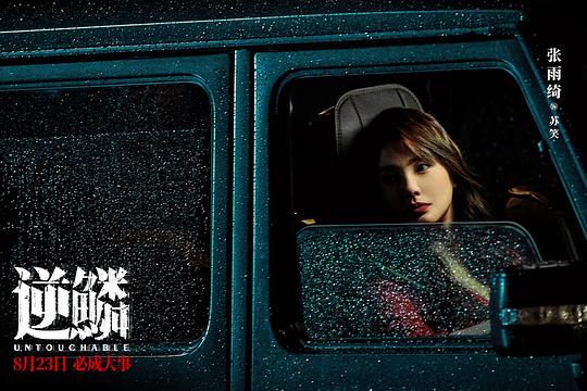 【4K华语】逆鳞 (2024) 光天化日/Untouchable/中国大陆/4K/2160P高码