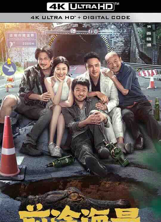 【4K华语】 前途海量 (2024) / 4K电影 / Dog.Days.Are.Over.HQ.2160p