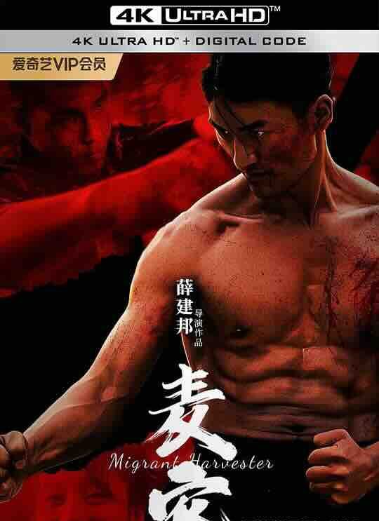 【4K华语】麦客 (2024) / 4K电影下载 / Wheat.Guest.2160p