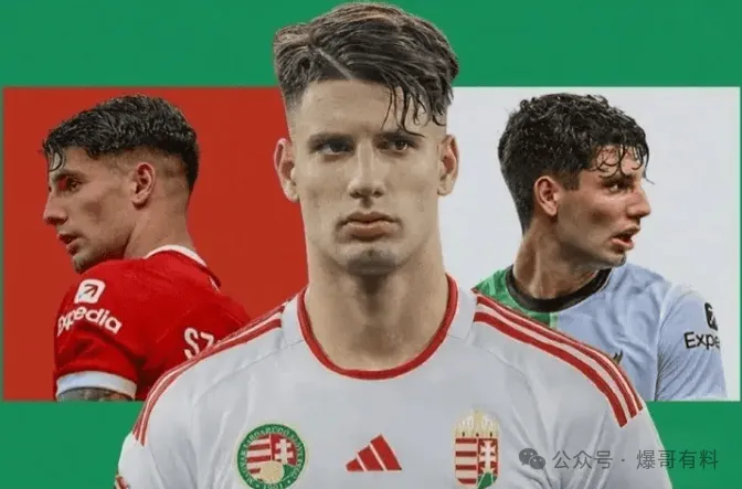 20240615【欧洲杯第02场分析】匈牙利vs瑞士