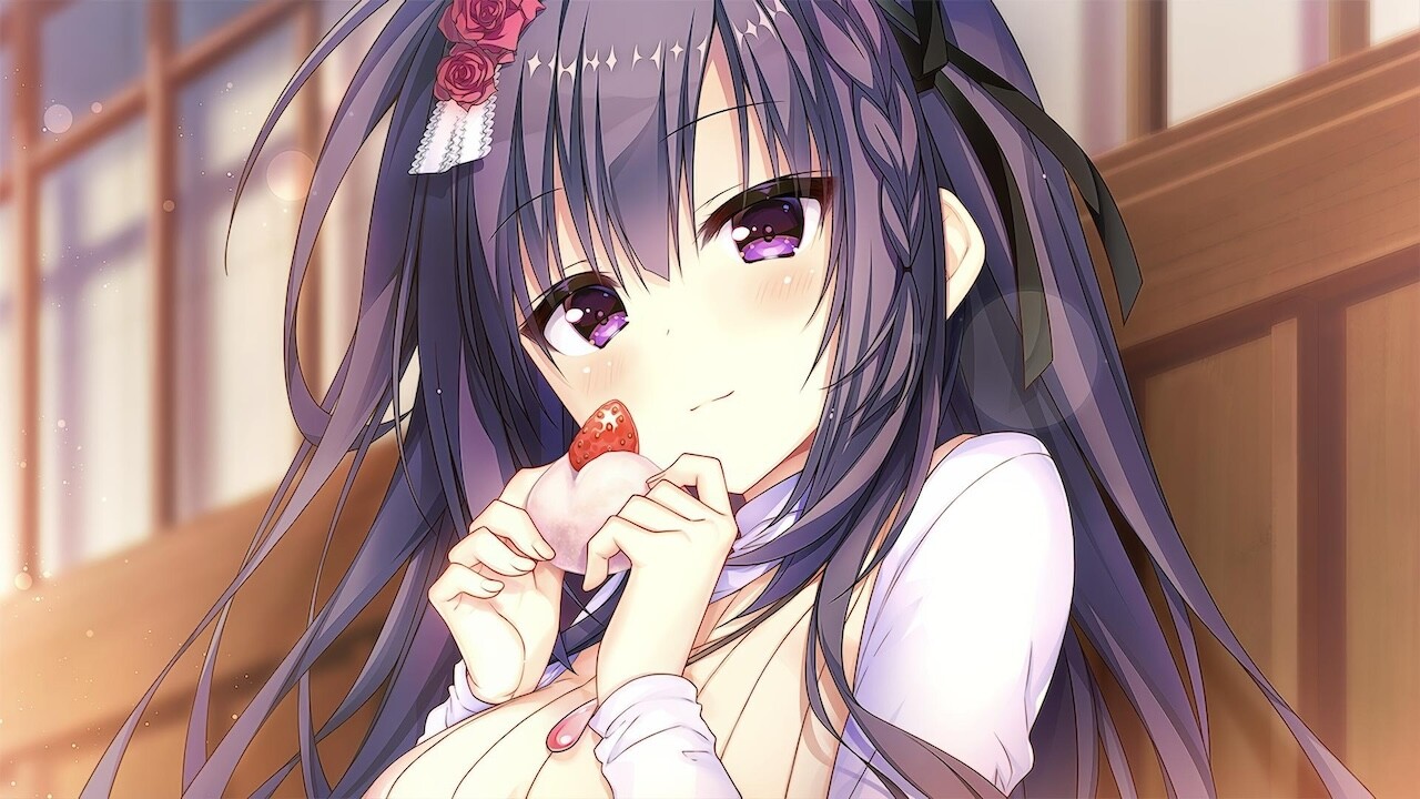 【Switch】天选庶民的真命之选|官方中文|NSP|原版