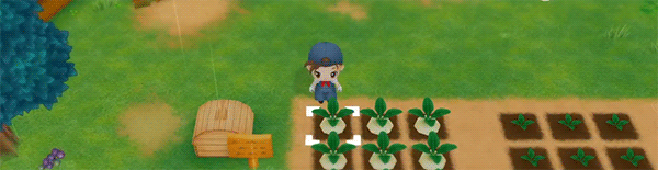 牧场物语:重聚矿石镇