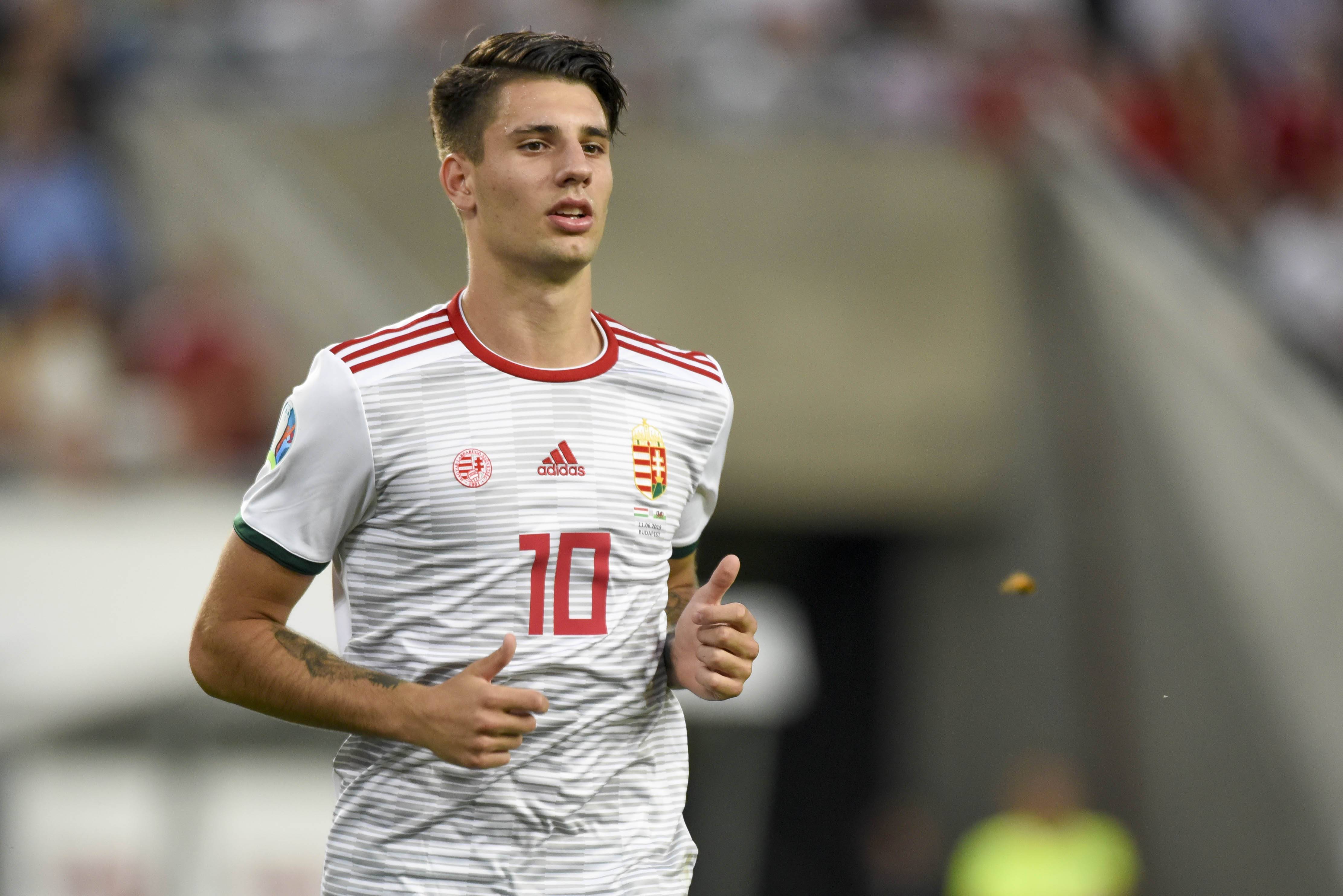 欧洲杯24队巡礼之匈牙利：主力球员经验丰富实力不俗 或成小组一大黑马