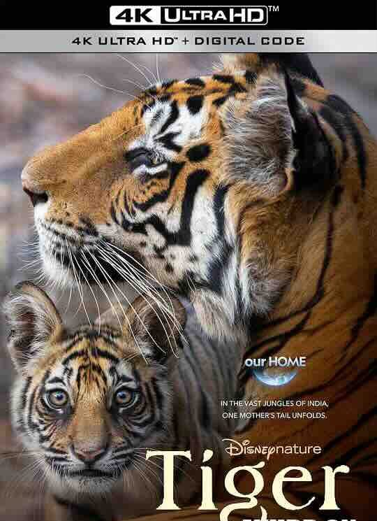 【4K纪录】老虎 Tiger (2024) / 4K纪录片下载 / Tiger.2024.2160p