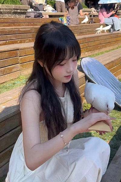 做你的猫/BeYourCat