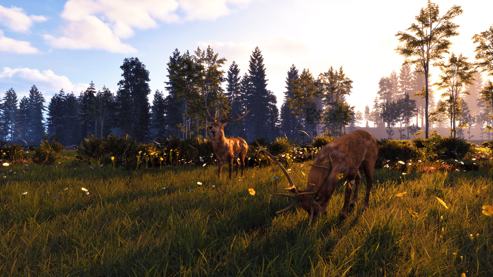 风暴:深厚友谊的开始 重制版|v20241111|全DLC|官方中文|支持手柄|Windstorm: Start of a Great Friendship - Remastered