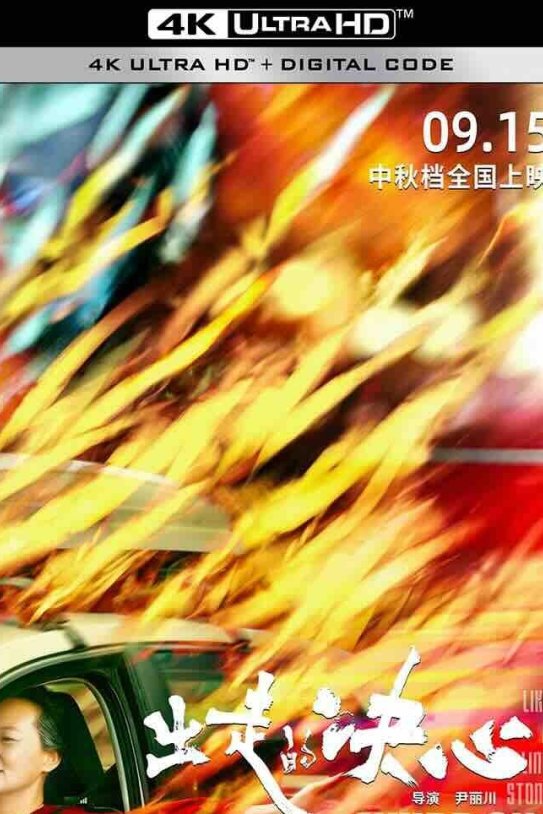 【4K华语】出走的决心 (2024) 婚姻往事/亲爱的妈妈/Like A Rolling Stone/中国大陆