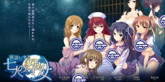 【Switch】夜袭七人孕女丨夜這いする七人の女