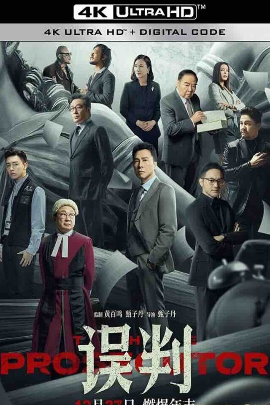 【4K华语】 误判 誤判 2024 The Prosecutor/Misjudgement｜2160P｜高码