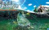 【Switch】户外钓鱼 夏日时光丨Reel Fishing: Days of Summer