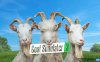 【Switch】模拟山羊3丨Goat Simulator 3
