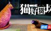 猫好货坏|v1.05|官方中文|Order 13