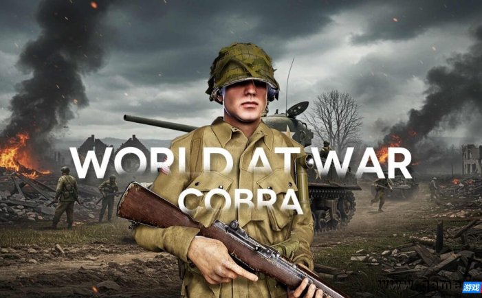 【Switch】世界大战：眼镜蛇丨World At War: Cobra