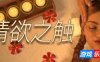 情欲之触/Lust Massage Room|STEAM官中