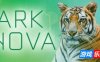 方舟动物园-Ark Nova|Build.19166888|容量778MB|官方简体中文|支持键盘.鼠标.手柄