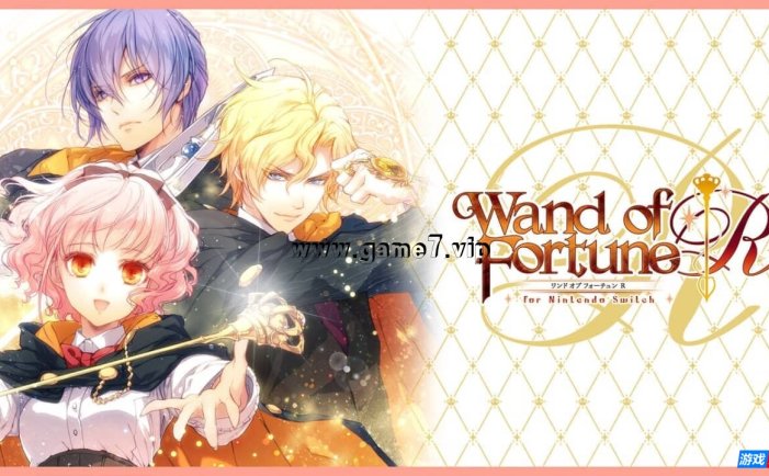 【Switch】幸运之杖R丨Wand of Fortune R for Nintendo Switch
