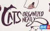 井然有猫|官方中文|Cats Organized Neatly