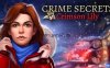 【Switch】乌鸦森林之谜：恐怖传奇丨Crime Secrets: Crimson Lily