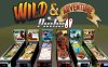 【Switch】野外 & 冒险家 弹子球丨Wild & Adventure Pinball