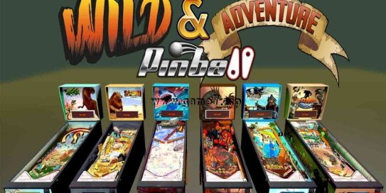 【Switch】野外 & 冒险家 弹子球丨Wild & Adventure Pinball