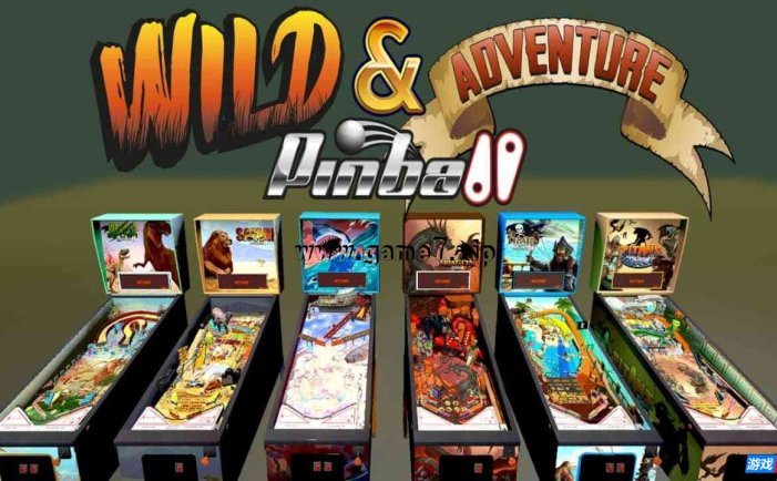 【Switch】野外 & 冒险家 弹子球丨Wild & Adventure Pinball