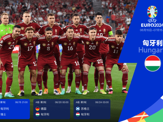 欧洲杯24队巡礼之匈牙利:主力球员经验丰富实力不俗 或成小组一大黑马
