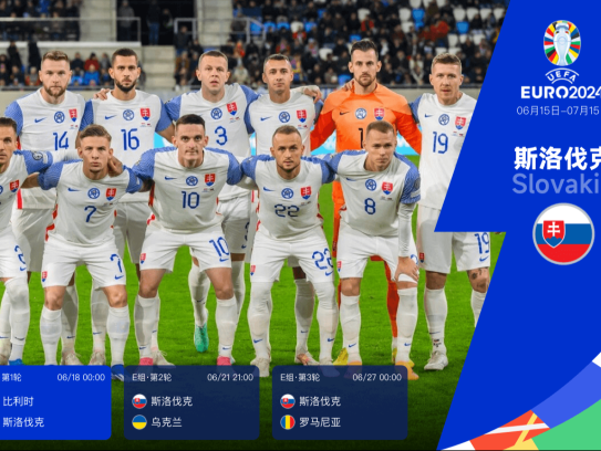 欧洲杯24队巡礼之斯洛伐克:东欧猎鹰重整旗鼓 出线并非遥不可及